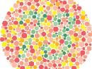 Play Color Vision Test